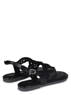 ASTARA -Heel Vibe Shop 3N4A0634