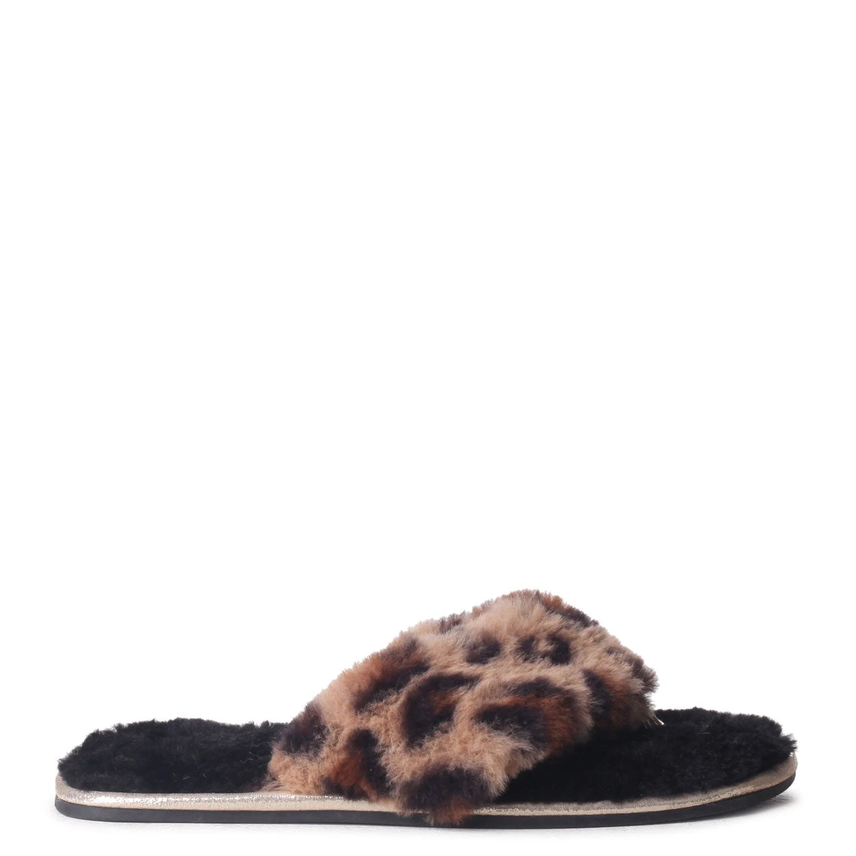 NEVAEH 4 NEVAEH - Image 2