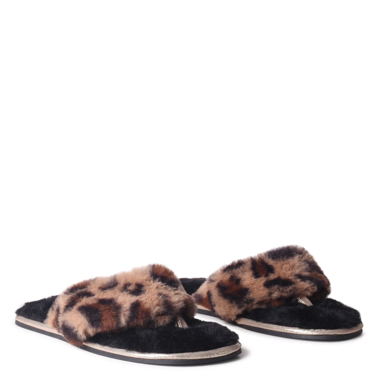 NEVAEH 5 NEVAEH - Image 3